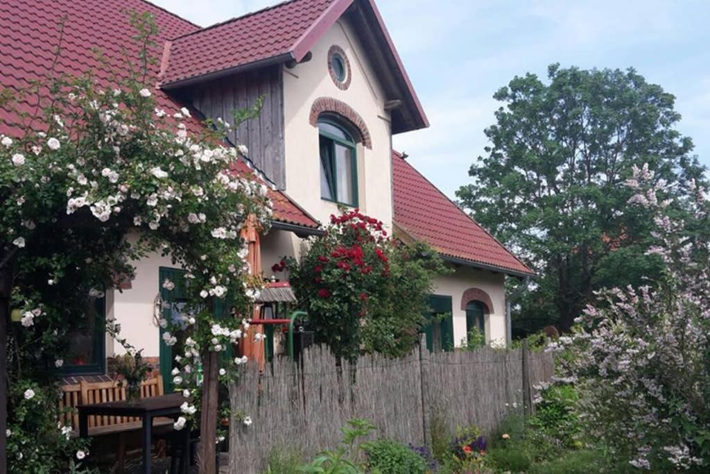 Entspannen Im Dorf Am See Zahren Eksteriør billede